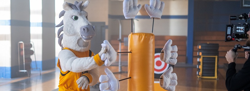 New Continental Commercial Shows Horse’s Journey to Mascot Greatness